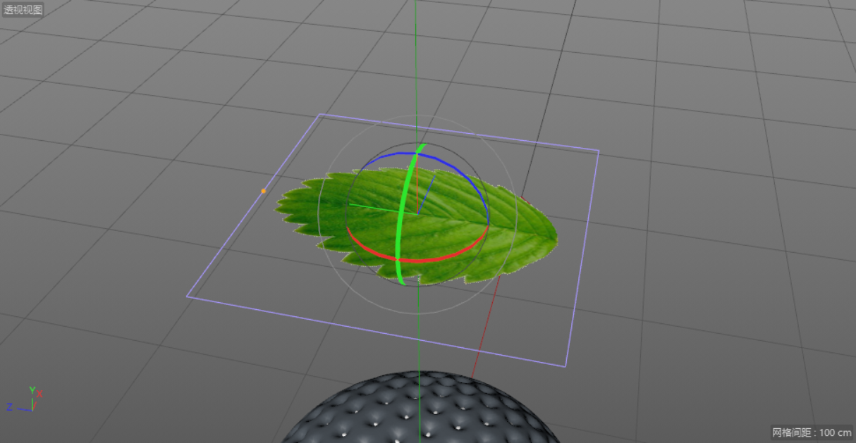 C4D制作逼真的草莓建模及渲染,PS教程,思缘教程网