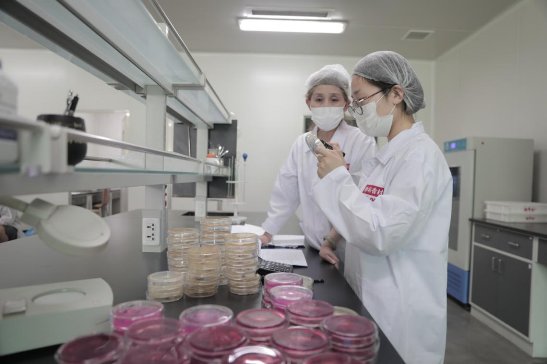 苏州稻香村：不忘初心 为美好生活贡献价值