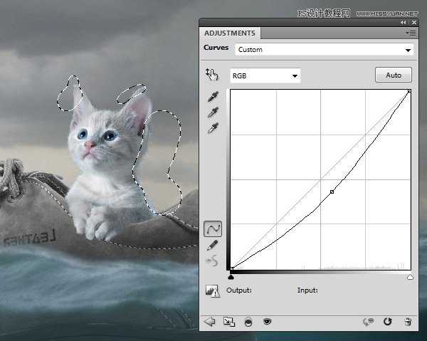 创意合成：用PS合成水中漂流的可爱猫咪,PS教程,思缘教程网