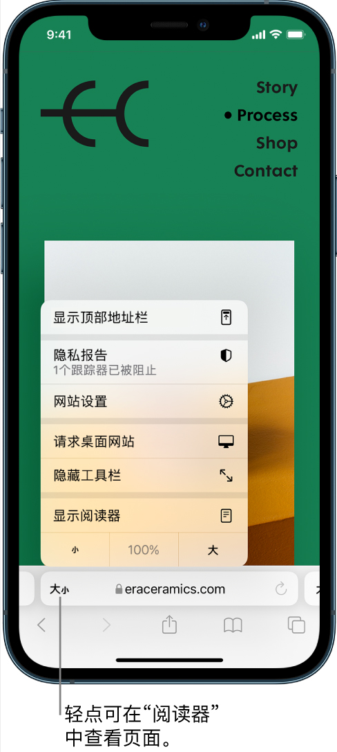 iPhone苹果手机如何在Safari浏览器中隐藏广告和干扰信息