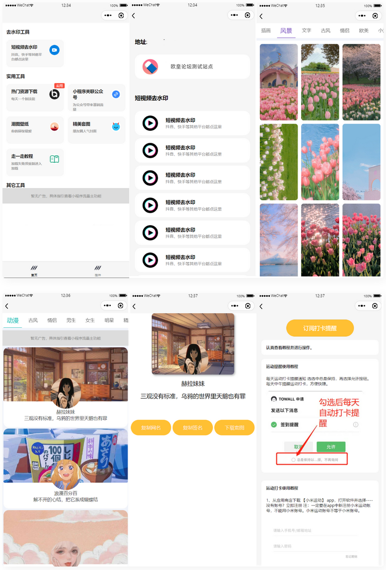 微信多接口带头像挂件制作短视频去水印微信小程序源码