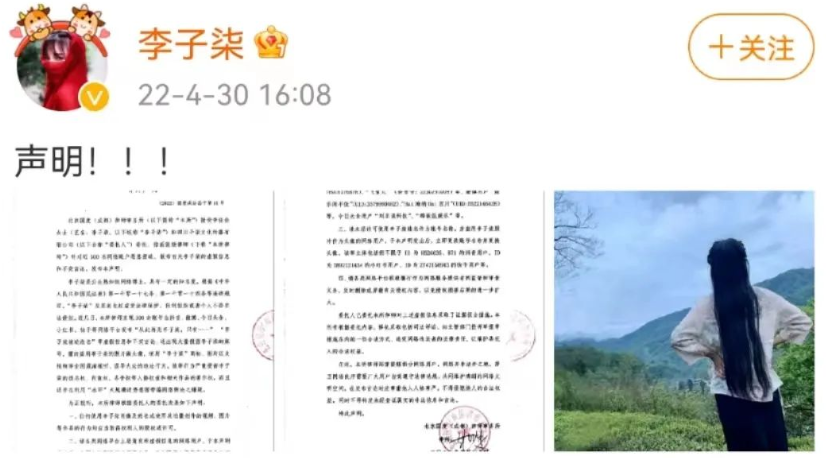 停更290天，李子柒突然发声：让背后花钱的人失望了！