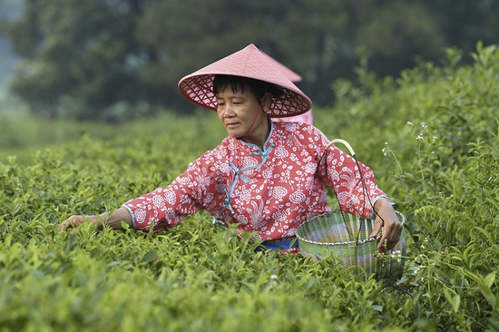 （图源：网络）