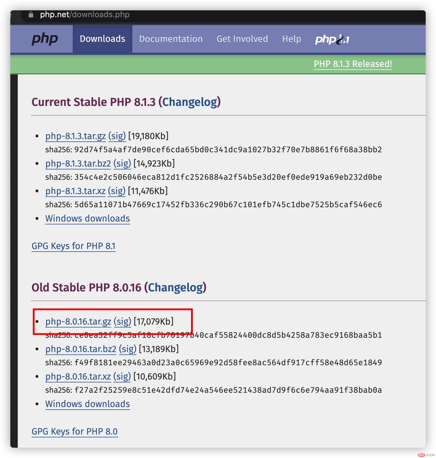 下载PHP 8.0.16 版本