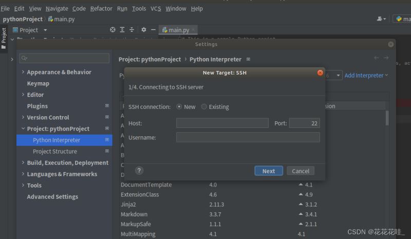 pycharm2022.2远程连接服务器调试代码实现