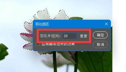 photoshop cs6羽化用不了怎么办?photoshop cs6羽化用不了的解决方法截图