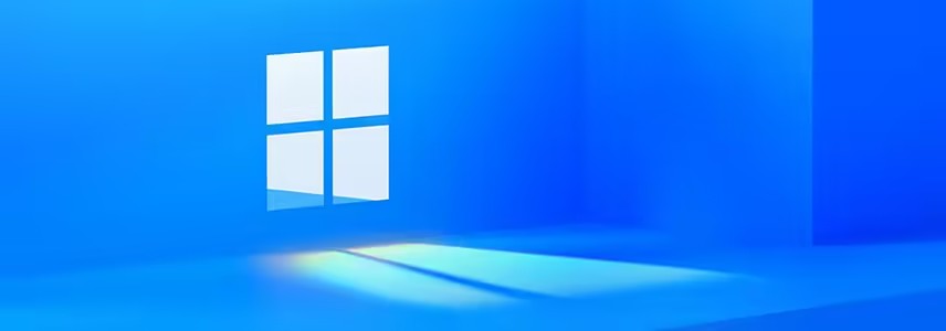 Win11与Windows Server可选功能安装命令选择与