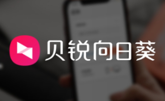 向日葵远程怎么设置不用输验证码？