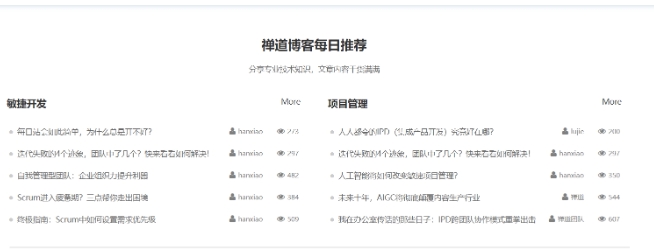 禅道项目管理软件开源版截图