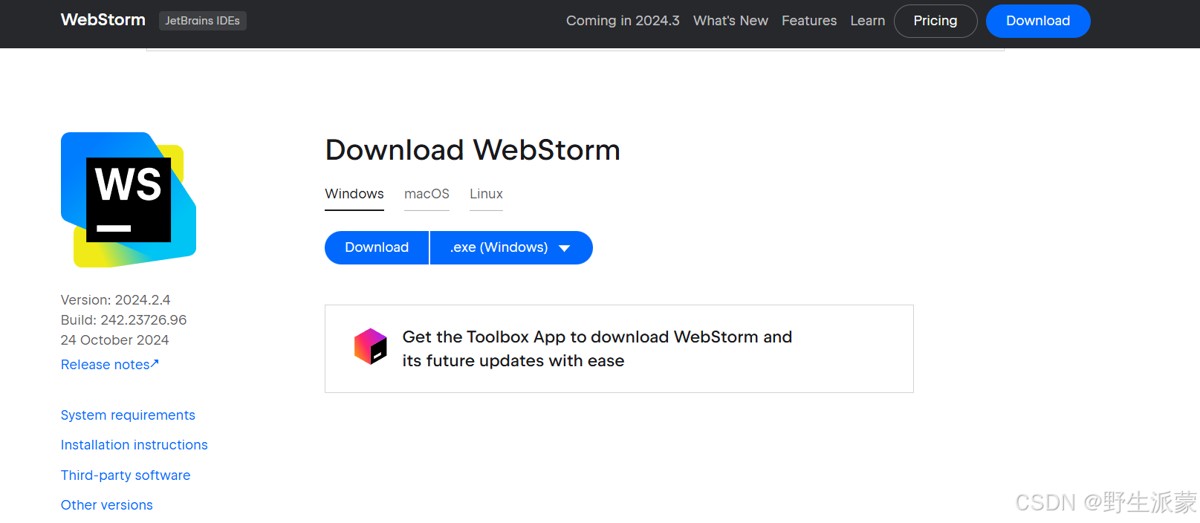 WebStorm安装配置超的教程