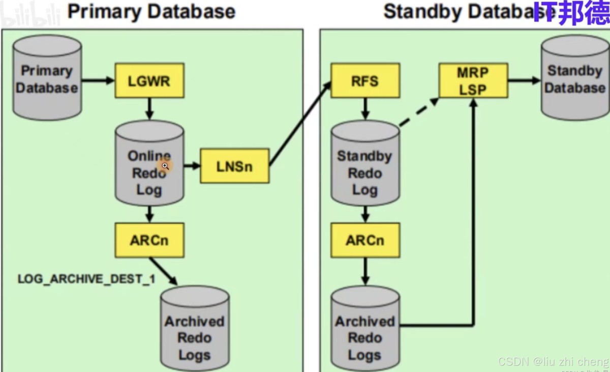 Oracle数据库高可用之DG+RAC介绍