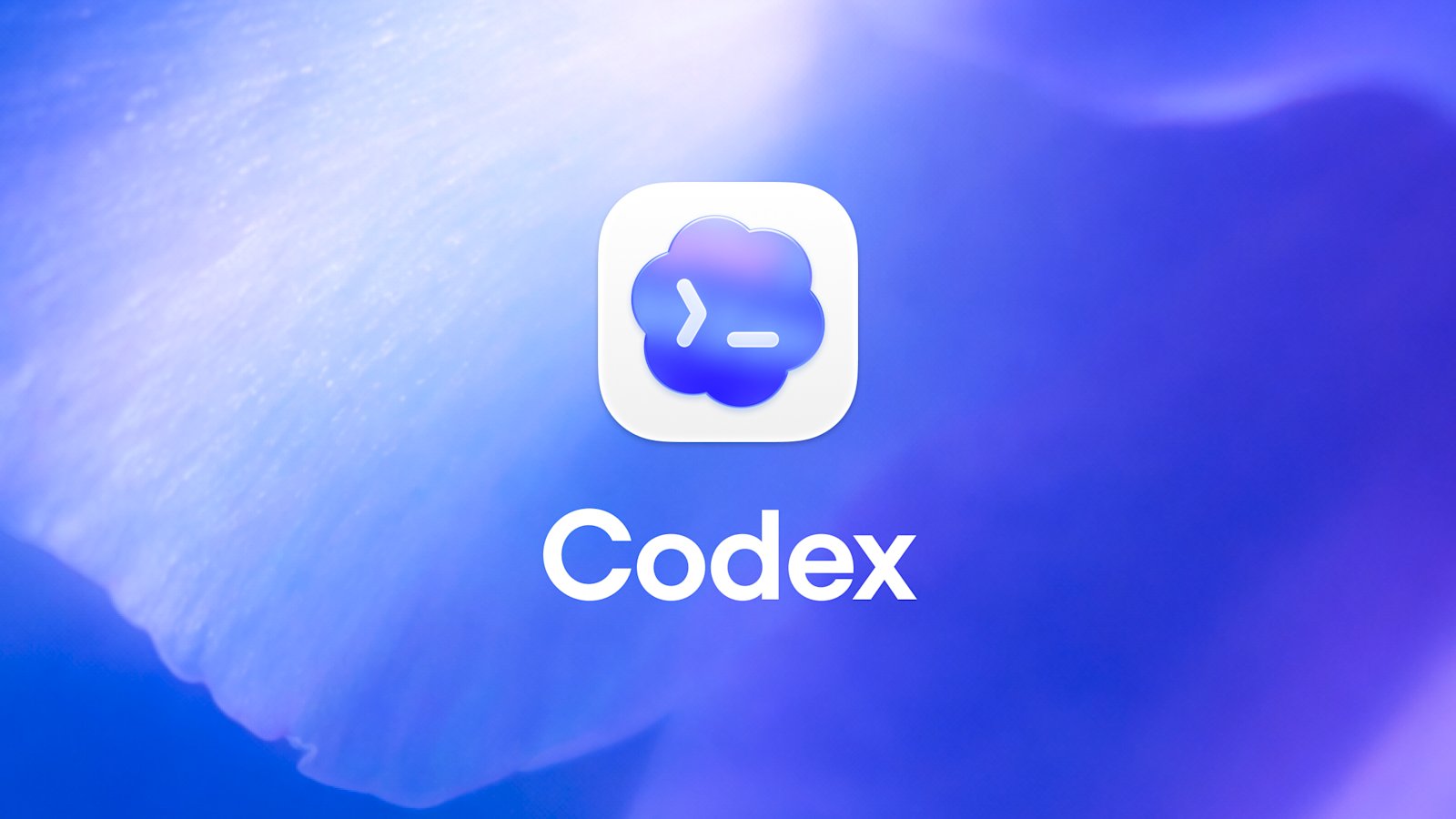 Codex配置GPT的保姆级教程介绍