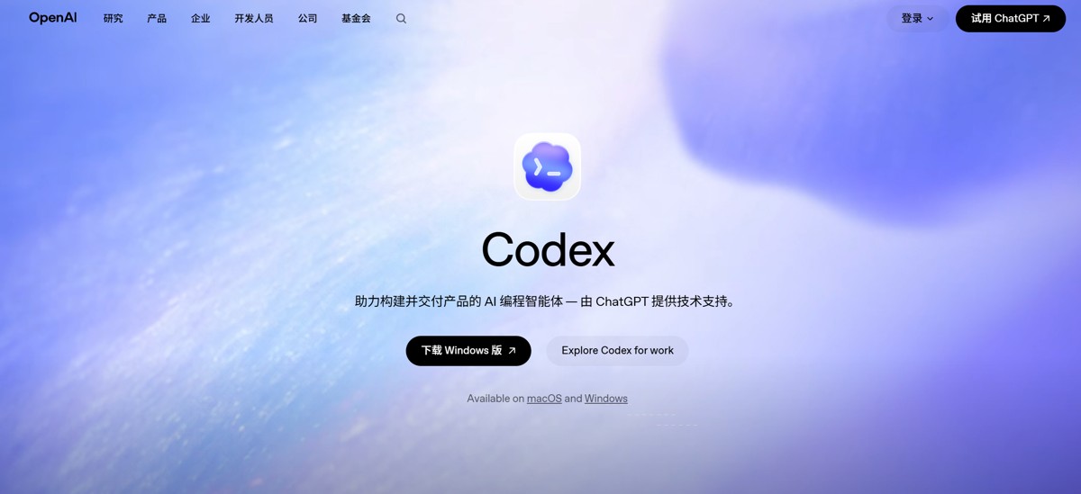  Codex 简介