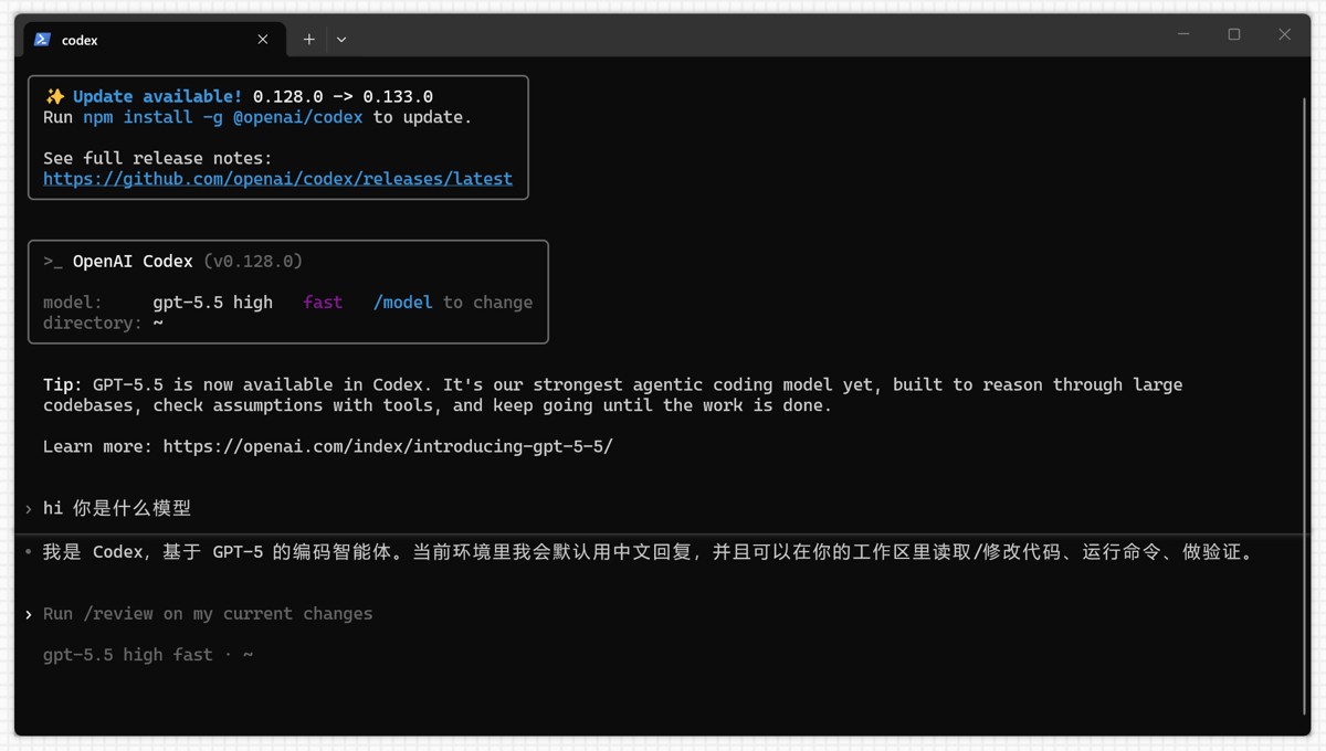 ????三、Codex CLI