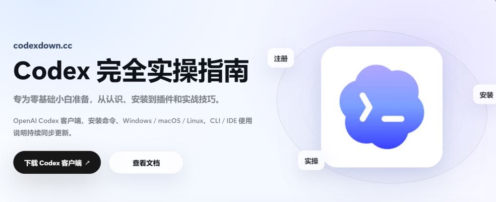 Codex客户端终端乱码的解决方法