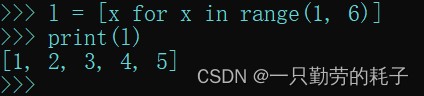 python之列表的高级应用及说明